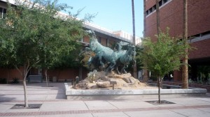 Bye bye business school