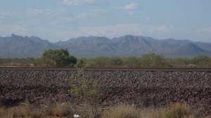 The desert is pretty