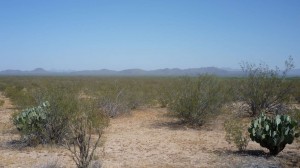The desert is still pretty.