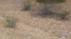 The only bad thing... count the beer bottles in the picture.