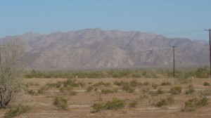 More Desert