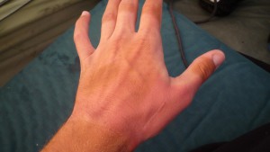 P1000851_3264x1840 Haha. Because my gloves were soaked and gross from the night before I rode without today. You can see the tan dots on my hand where the sun shines through the holes of my old gloves, and the horrible sunburn over the rest of my hand. That hurt for a while.