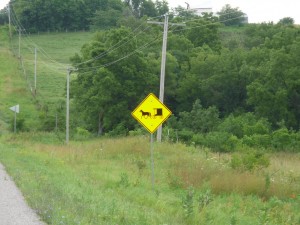 WARNING! IOWA MENNONITES WILL RUIN YOUR DAY!