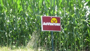 'Mom, can we go on an adventure today?' 'No hun, but we can go on an AGVENTURE!' 'Ohhhh, not again.'