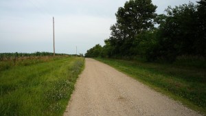 Dirt Road I took in the morning.