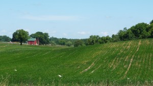 Indiana is pretty, but it get a little repetitive after a while (though I do like this picture).