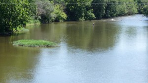 Fly fishing.