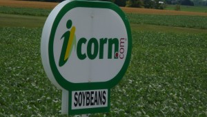 My favorite website!