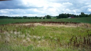 Despite there being more cities, it was still mostly farmland.