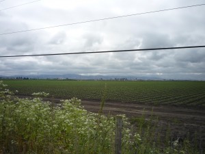 More farmland