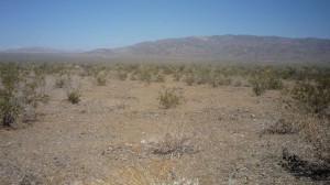 The beginning of Box Canyon Road.