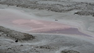 The night before my dad told me that he thought that most of the water in Nevada was good for drinking. I don't know why exactly he thought this, but I laughed, as this pink gross stuff is the first water I saw the next day.
