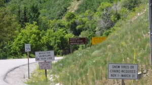 Sign for Sundance. I didn't ride up there though.