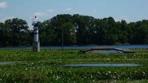 A lighthouse in a swampy lake?