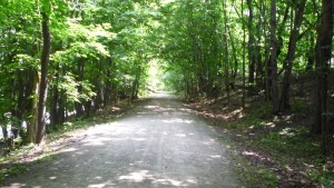 The Montour Trail. The GAP looked very similar as well.